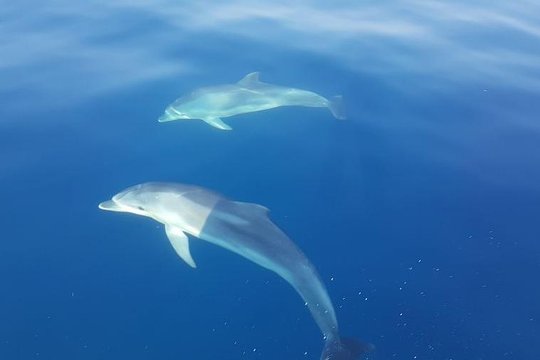 Tour image 2