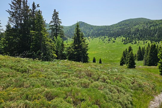 Tour image 6